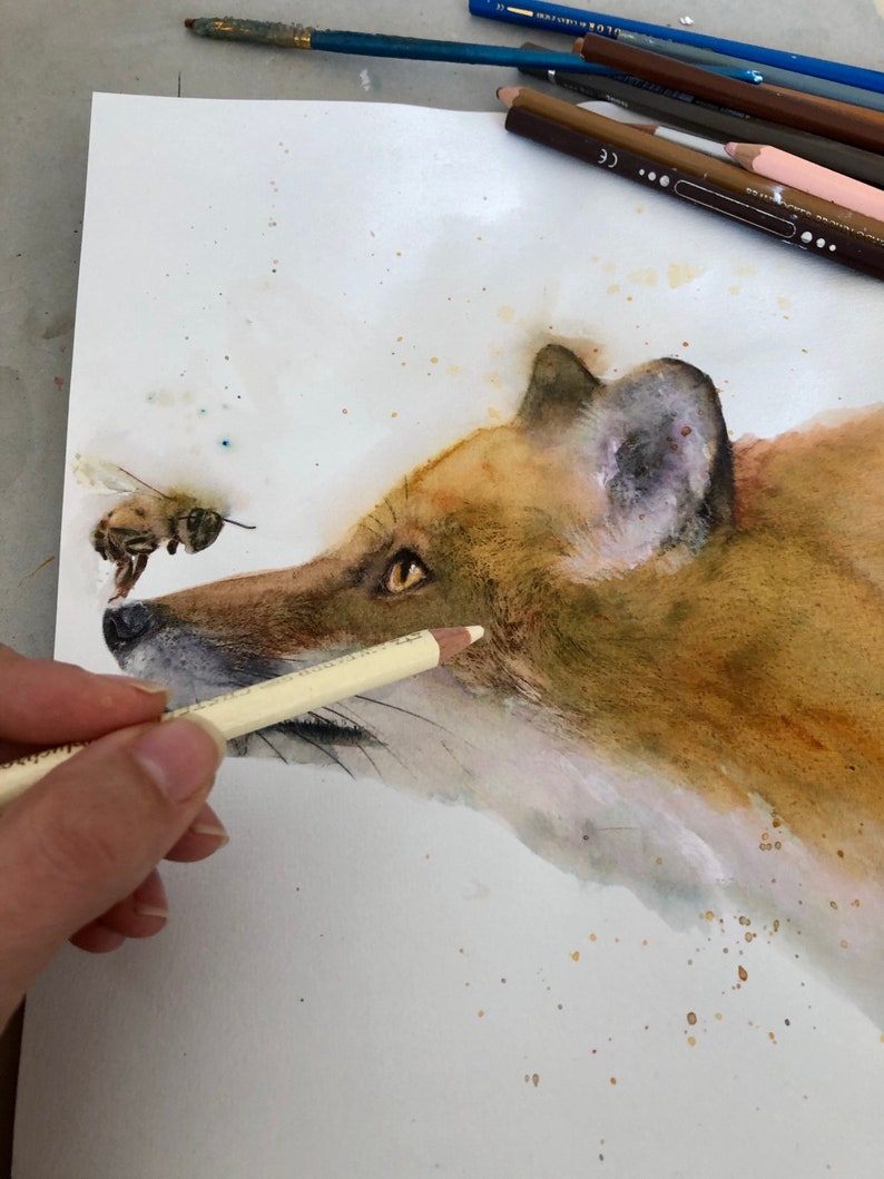 Illustration of a fox and a bee an impression on paper drawing, mixed techniques paint, pastels, pencils ... Of animal paint. image 5