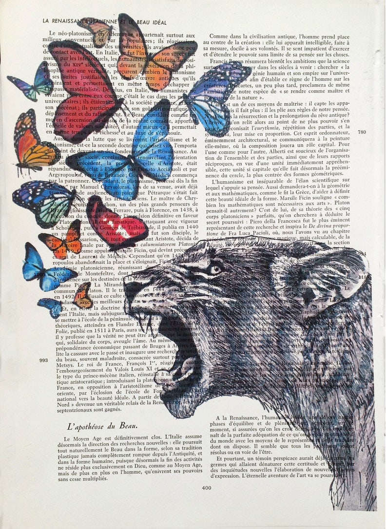 Lioness with multicolored butterflies, print on vintage paper. Original page from a book. Wall decoration. image 2