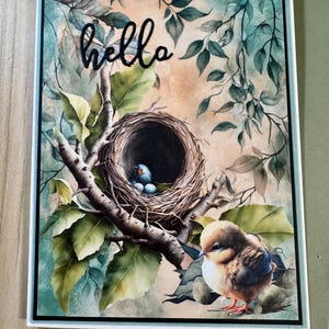 Tarjeta de nido de pájaro hecha a mano, inspirada en la naturaleza. Tarjeta de felicitación de primavera. Tarjeta rústica de "Hola" con temática de bosque.
