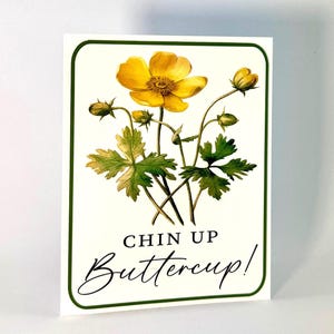 Renoncule menton - Carte d'encouragement