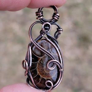 May include: A handcrafted pendant featuring a polished ammonite fossil encased in copper wire. The fossil displays a spiral pattern in shades of brown and tan. The wirework forms an intricate, decorative frame with a loop for a chain.