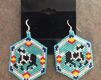 Pony earrings
