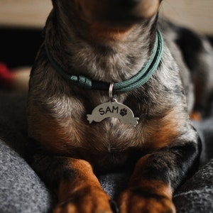 Sausage id tag, dachshund id tag, does not dye the dog&#39;s fur,  deep engraving