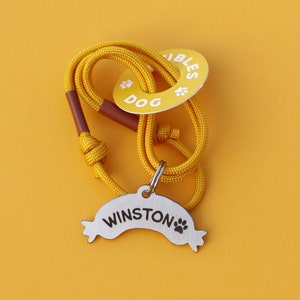 Sausage-Shaped Pet ID Tag for Dogs and Cats