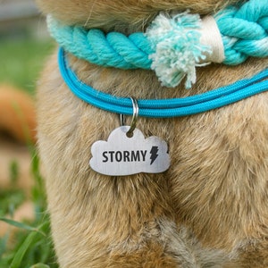 cloud pet id collar tag, deep engraving, does not dye the dog's fur, princess dog