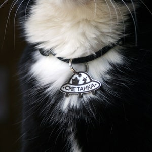 May include: A black and white cat wearing a black collar with a silver tag that says "СМЕТАНКА". The tag is shaped like a UFO with two small cats inside.