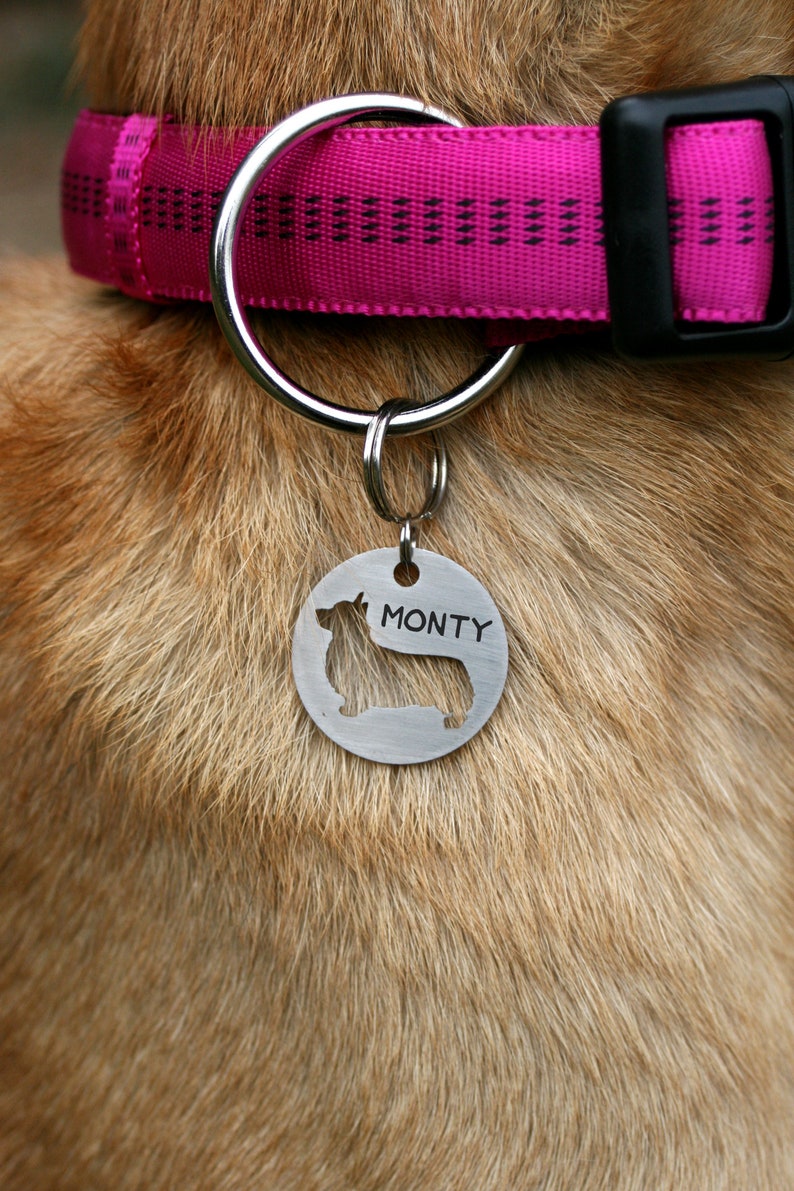 id tag gifts dog collar lover Etsy