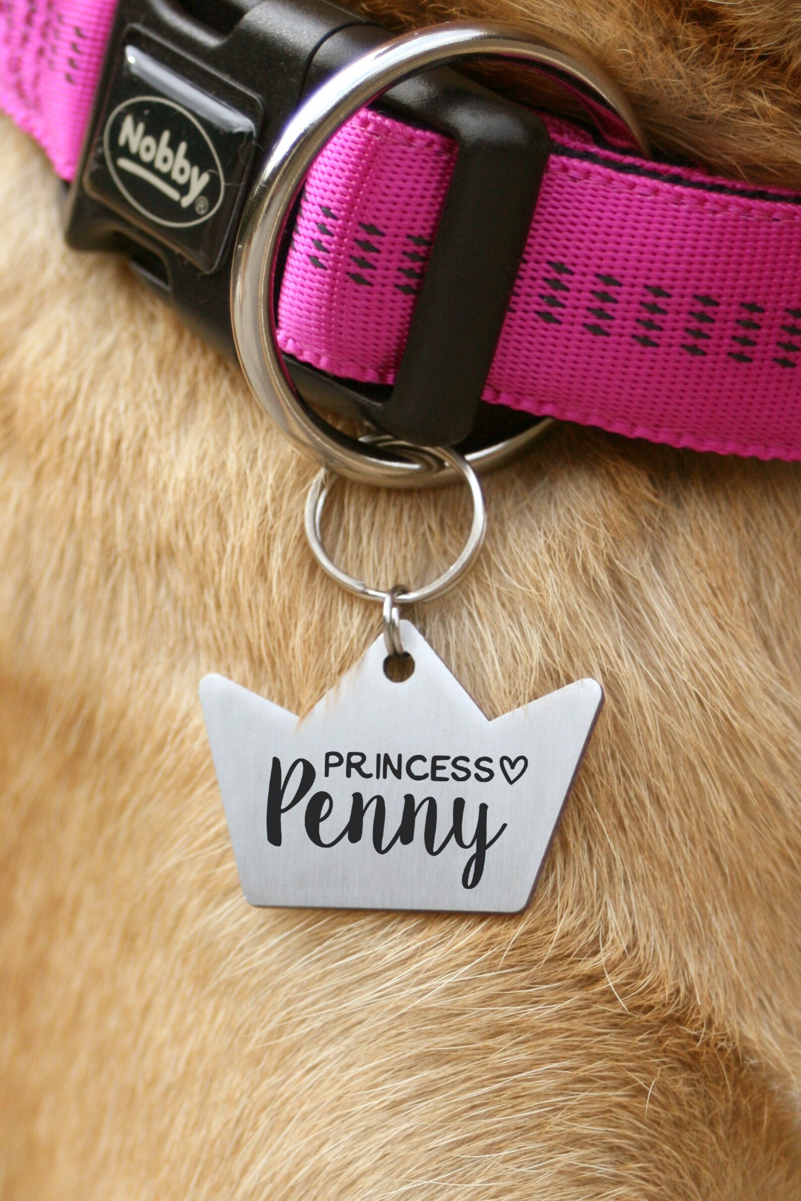 Crown pet id collar tag engraved king dog id tag drama queen Etsy