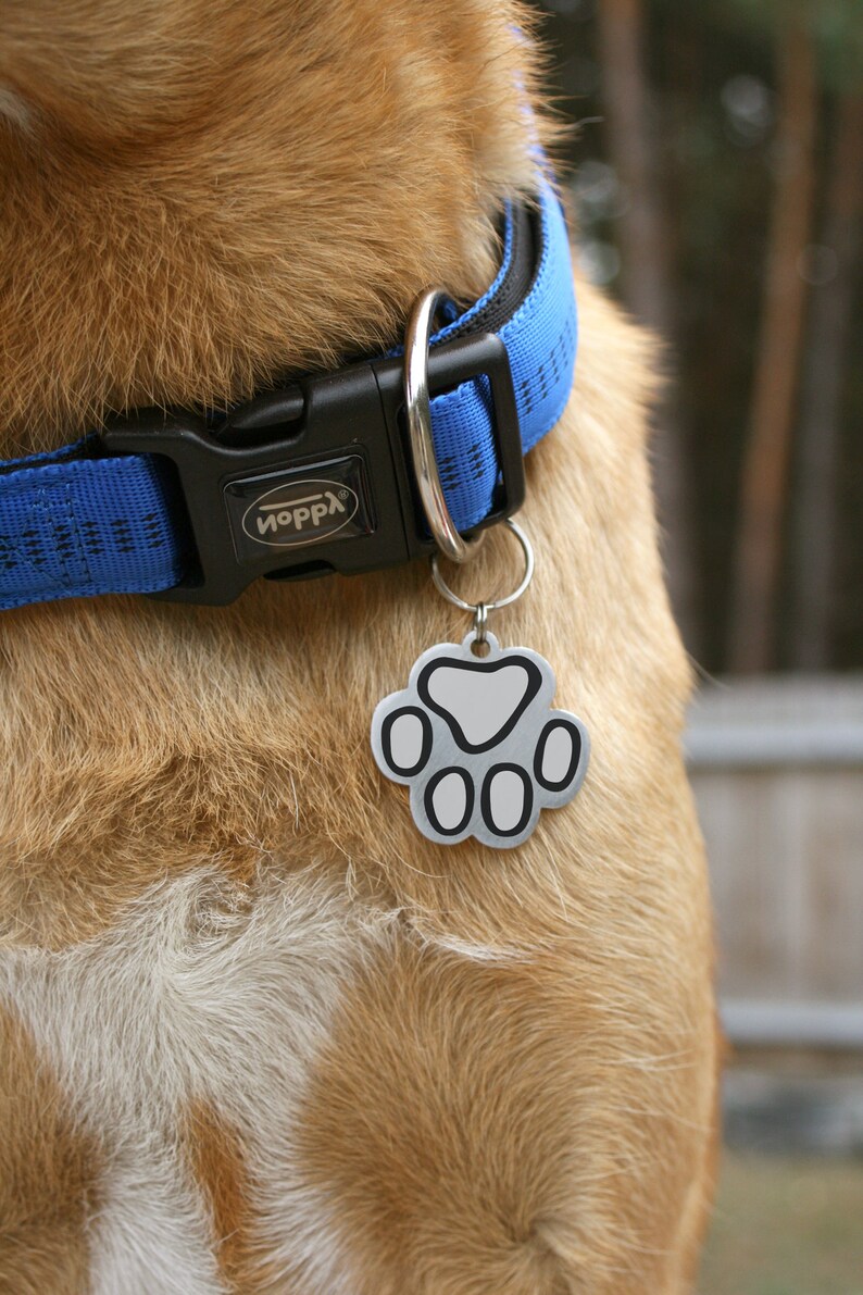 photo dog id tags photo dog id tags