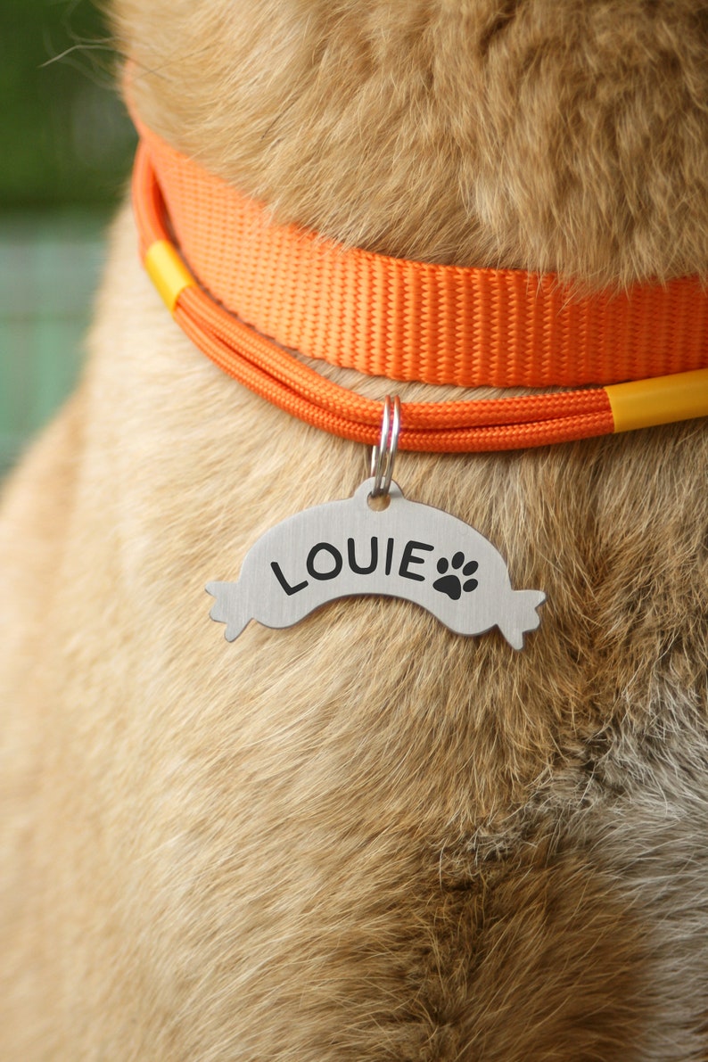 Personalized Sausage Dog ID Tag: Stainless Steel Pet Tag image 1