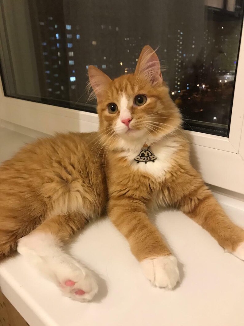May include: A ginger and white cat with green eyes is lying on a white surface. The cat is wearing a collar with a tag that says "MARS".