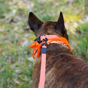 waterproof leash with light black aluminium snap hooks 16 mm | 5/8 Inch