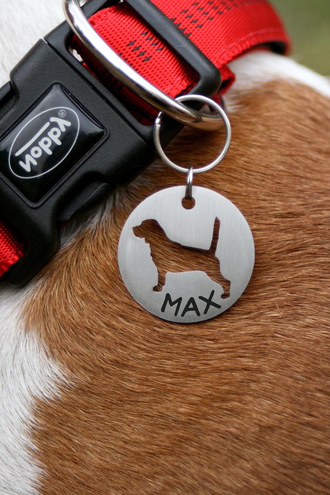 Beagle id tag beagle dog tag Beagle lover Beagle gifts Etsy