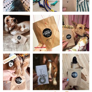 May include: A collection of brown paper bags with a black and white logo that says "BAUBLES DOG" and the text "ACCESSORIES FOR PETS". The logo also includes a bone icon. The bags are decorated with red and yellow string. There are also photos of dogs wearing the products.