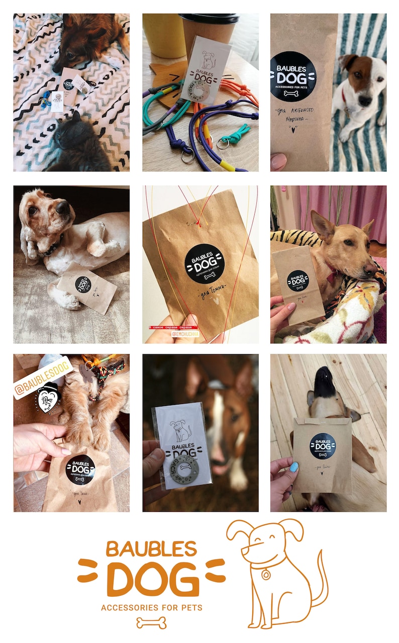 May include: A collection of brown paper bags with a black and white logo that says "BAUBLES DOG" and the text "ACCESSORIES FOR PETS". The logo also includes a bone icon. The bags are decorated with red and yellow string. There are also photos of dogs wearing the products.