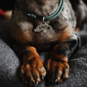 Personalized Sausage Dog ID Tag: Stainless Steel Pet Tag image 6