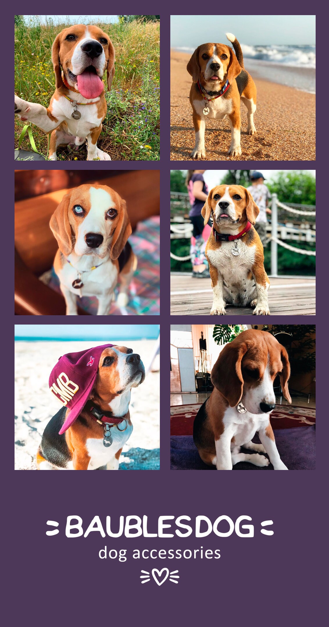 Beagle id tag beagle dog tag Beagle lover Beagle gifts Etsy