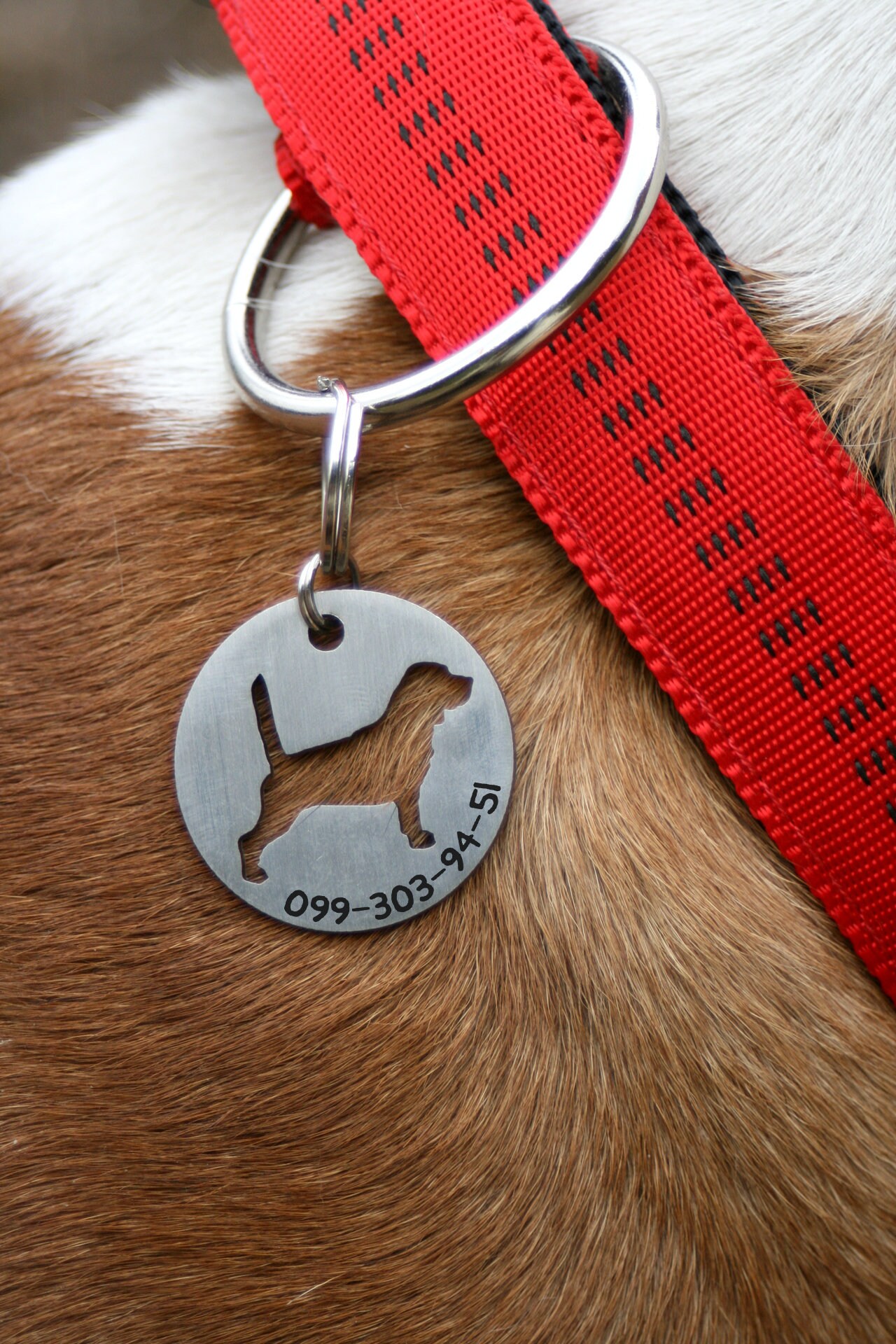 Beagle id tag beagle dog tag Beagle lover Beagle gifts Etsy