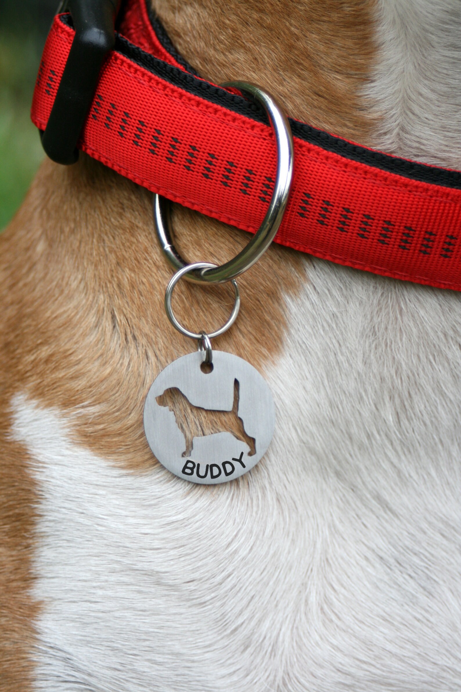 Beagle id tag beagle dog tag Beagle lover Beagle gifts Etsy