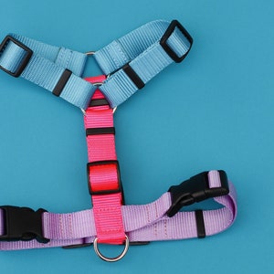 webbing multicolor dog harness, adjustable Y-harness