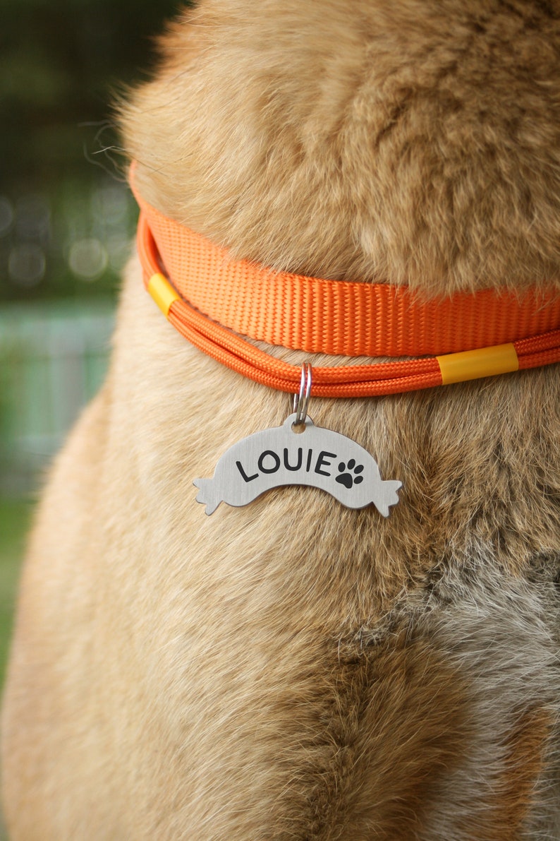 Personalized Sausage Dog ID Tag: Stainless Steel Pet Tag image 2