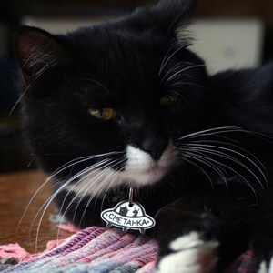 May include: A black and white cat with white whiskers is lying on a colorful rug. The cat is wearing a black and white tag that says "СМЕТАНКА".