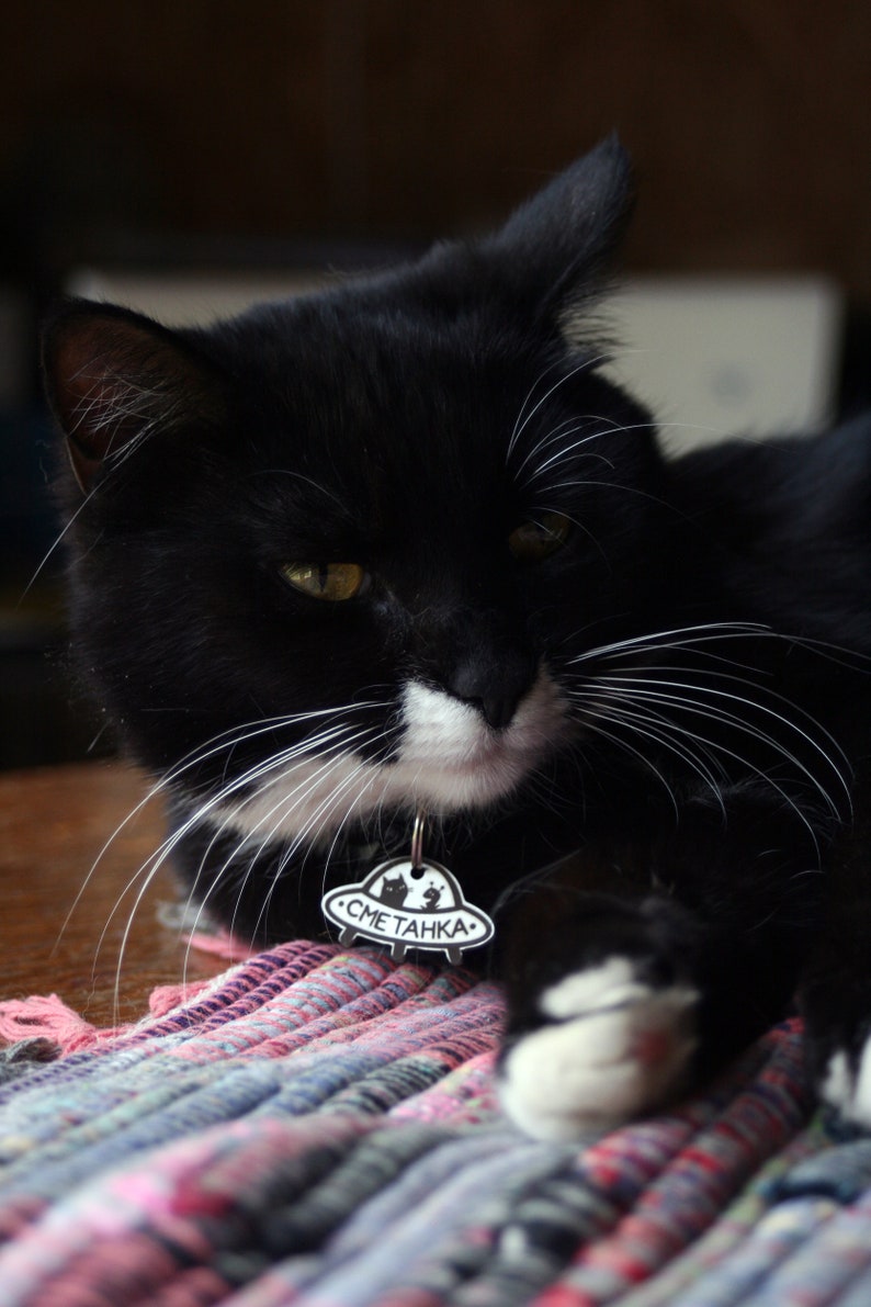 May include: A black and white cat with white whiskers is lying on a colorful rug. The cat is wearing a black and white tag that says "СМЕТАНКА".