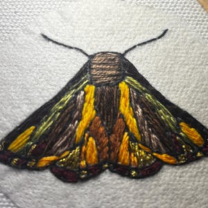 Pode incluir: Design de tra&ccedil;a bordada com fios castanhos, amarelos e dourados sobre tecido branco. A tra&ccedil;a tem asas e antenas detalhadas, mostrando uma variedade de cores e texturas. A obra de arte &eacute; provavelmente parte de um projeto de arte t&ecirc;xtil.