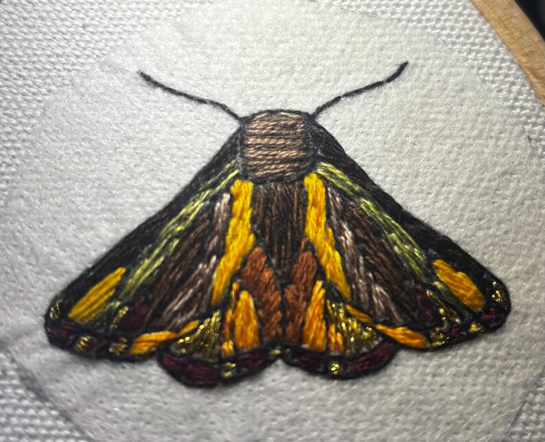 Pode incluir: Design de tra&ccedil;a bordada com fios castanhos, amarelos e dourados sobre tecido branco. A tra&ccedil;a tem asas e antenas detalhadas, mostrando uma variedade de cores e texturas. A obra de arte &eacute; provavelmente parte de um projeto de arte t&ecirc;xtil.