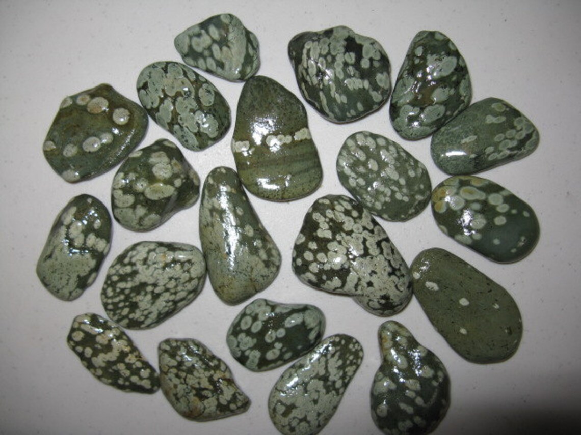 20 Turtle Rocks 1.52 NW Native Rock Natural and Etsy