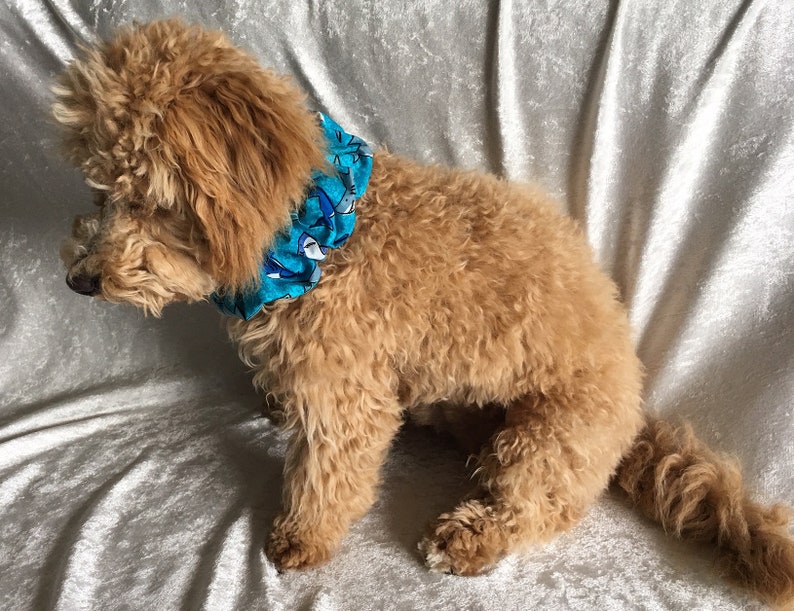 Pet Scrunchie Shark Dog Scrunchy Dog Neckwear