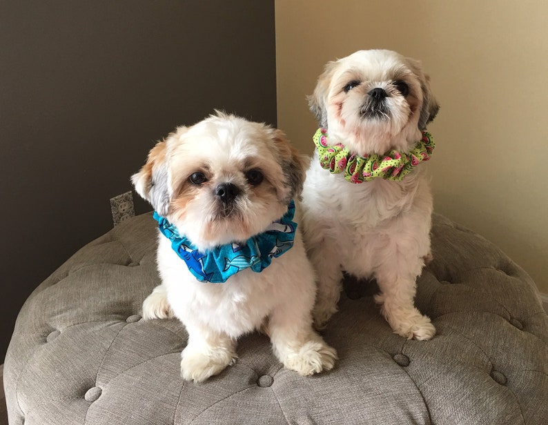 Pet Scrunchie Shark Dog Scrunchy Dog Neckwear