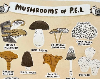 11”x14” Mushrooms of PEI Print