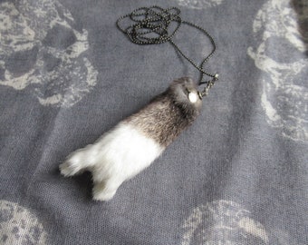 Taxidermy Rabbit Foot Necklace, anthropomorphic Horns gesture, real rabbit foot