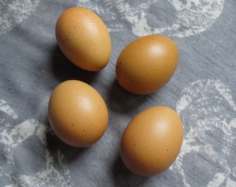 Set of 4 Chicken Eggs, real hand blown eggs