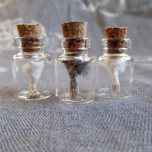 Mummified Mouse Paw in Specimen Bottle, Tiny Oddity