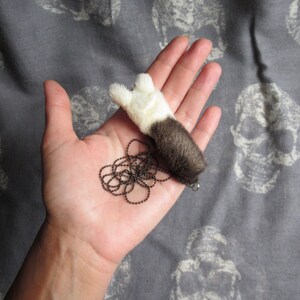 Taxidermy Rabbit Foot Necklace, Anthropomorphic Horns Gesture, Real ...