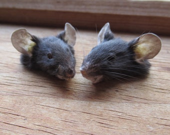 Reserved Listing, 2 Mice Mummies for Henrik