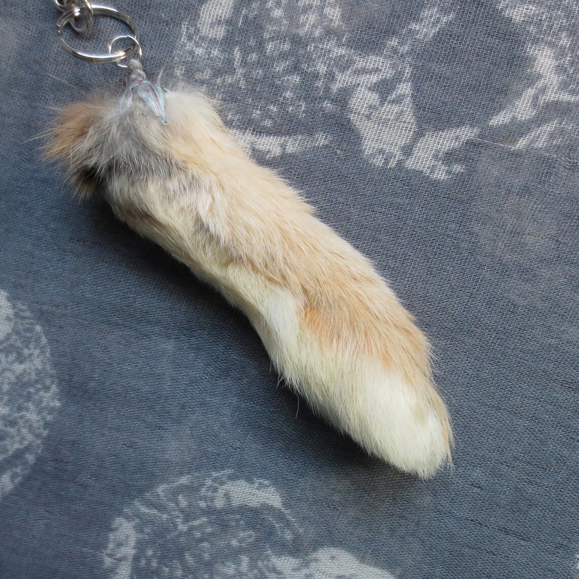 Large Orange Rabbit's Foot Taxidermy Real Oddity Etsy