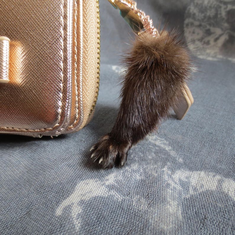 Taxidermy Mink Paw Wallet Real Oddity Ethical Fur Bone Etsy UK