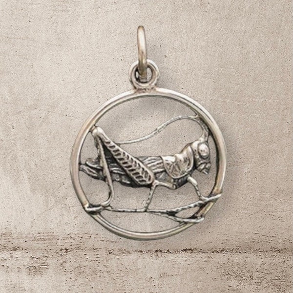 Sterling Silver Lucky Cricket Charm 22x15mm