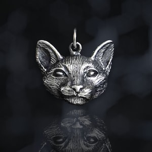 May include: A silver pendant featuring a detailed, realistic cat head with a textured surface.