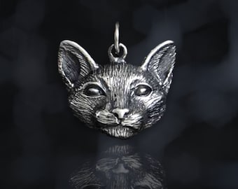 Puede incluir: Un colgante de plata con un diseño detallado y realista de una cabeza de gato con una superficie texturizada.