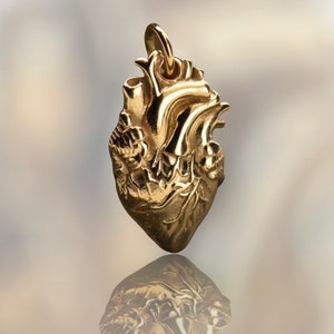 Anatomical Heart Jewelry Charm - Bronze, Heart Love, Realistic Heart, Romantic Heart, Amor, Anniversary Gift