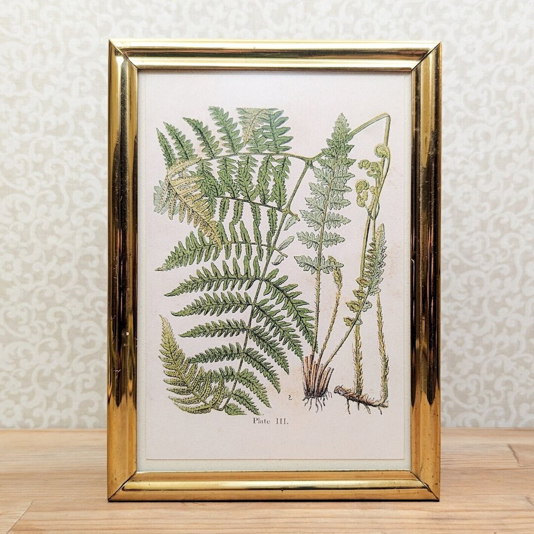 Vintage Brass Picture Frame, 5x7 Gold Tone Photo Frame, 70s/80s Decor ...