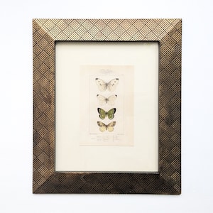 May include: A framed print of three butterflies, one white, one green, and one yellow, with a detailed description of the species below. The frame is gold with a woven pattern.