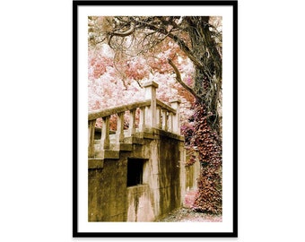 Romantic Landscape Fine Art, Old Staircase, Cotton Candy Pink, Pink Garden, Gothic Staircase, twisted tree, limited Edition, dreamy, surreal