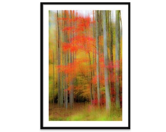Autumn Trees Photography, Fall Landscape Fine Art, Autumn Print, Fall Leaves, Fall Photo, Autumn Canvas Gallery Wrap, Giclée Fine Art Print