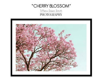 Cherry Blossom Photograph, Cherry Blossom canvas, Mint Blue and Pink, Spring Wall Art, Giclee fine art print, cherry blossom metal wall art