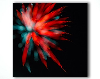 Firework Photography, Abstract Photography, Abstract Print, Abstract Photo, Fireworks Print, Limited Edition,  Tiffany Dawn Smith, Cool Art
